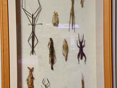 -陕西自然博物馆