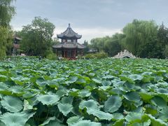 -莲池书院博物馆