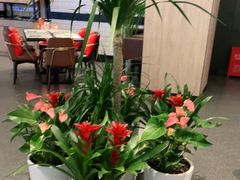 -西堤牛排(合肥之心城店)