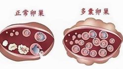 -邢台妇产医院