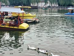 -莲湖公园
