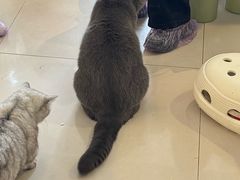 -平行世界·猫咖(首经贸店)