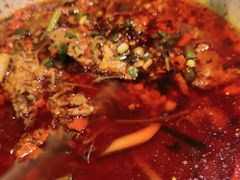 -赵小犇·江湖川菜馆