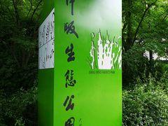 -西湖风景区-江洋畈生态公园