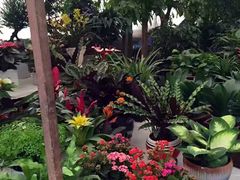 -金陵花卉交易市场