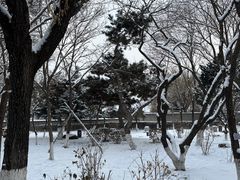 -伪满皇宫博物院