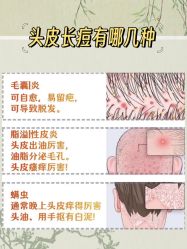 -Bollins波林丝•专研护发中心