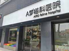 -御宝贝·A梦猫科宠物医院(国际猫友好医院)