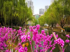 -白塘生态植物园