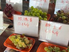 -马陆小张葡萄园农家乐