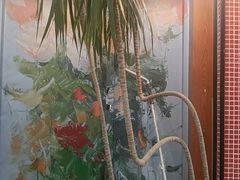 -莫多多餐厅