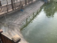 -北京鹿世界主题园