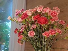 -春暖花开(西溪店)