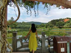 -大屏嶂森林公园