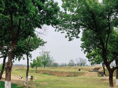 -盘龙城国家考古遗址公园