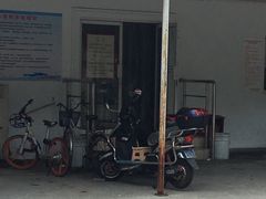 -小海豚国际游泳培训(长宁龙之梦酒店)