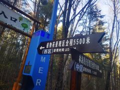 -汤旺河林海奇石景区