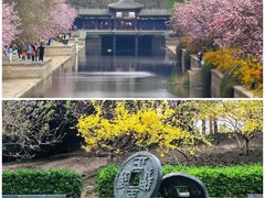 -海棠花溪(元大都城垣遗址公园)