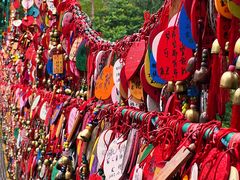 -西双版纳原始森林公园