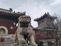 -五台山风景名胜区-罗睺寺