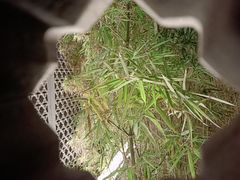 -粤剧艺术博物馆