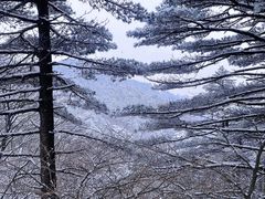 -黄山风景区