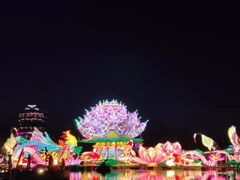 -祥源·阜阳生态乐园