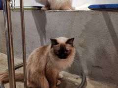-浣熊柯尔鸭土拨鼠·电玩咖
