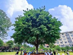 -成都中医药大学(温江校区)