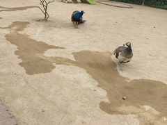 -杭州野生动物世界