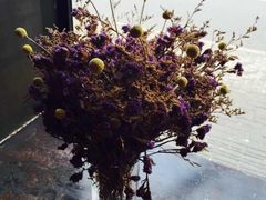-Ocean's Table 欧舍