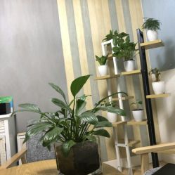 -一个差评成就的纹眉店