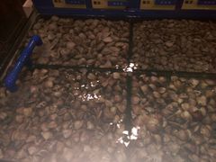 -蒸上鲜海鲜蒸汽蒸菜主题餐厅(高新店)