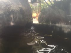 -西安国际创新人才交流中心•药浴温泉