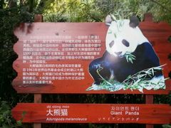-深圳野生动物园