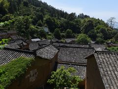 -杨家堂村