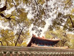 -北京国子监胡同
