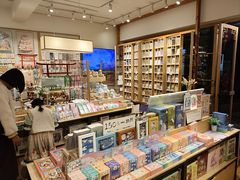 -猫的天空之城概念书店(束河店)
