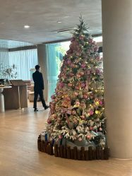 -馨月汇·一悦馨香月子中心(前滩店)