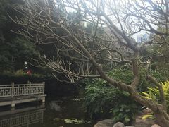 -晓港公园