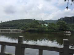 -御景酒店