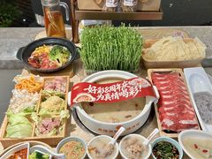 -好彩猪肚鸡(正弘城店)
