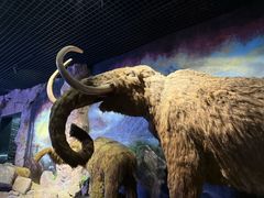 -抚顺煤矿博物馆