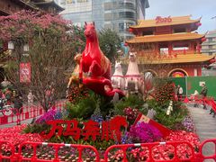 -越秀西湖花市(广州城市广场花卉店)
