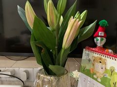 -循礼门鲜花花市(武汉循礼门店)