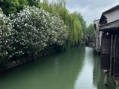 -乌镇西栅景区