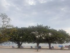 -抚仙湖禄充风景区