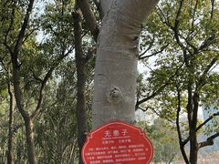 -黄兴公园