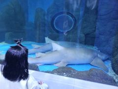-常州海昌海洋探索馆
