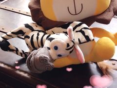 签到图片-Africafe(非洲咖啡)